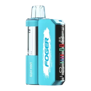 Foger Gum Mint Flavor β The Switch Pro 30K Kit.