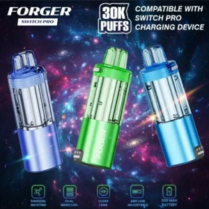 Foger Pods & Fogger Refills β Fogger Switch Pro 30K Replacement Pods.