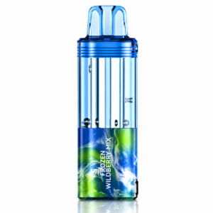 Frozen Wildberry Mix β Foger Switch Pro Pod