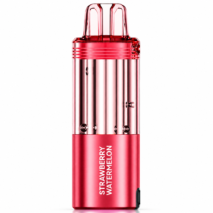 Strawberry Watermelon β Foger Switch Pro Pod